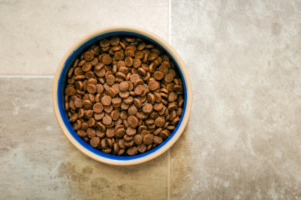 Dry dog food being poured from the bag into a full bowl